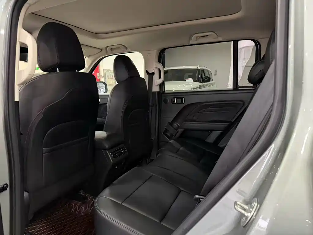 Haval Menglong New Energy 2023