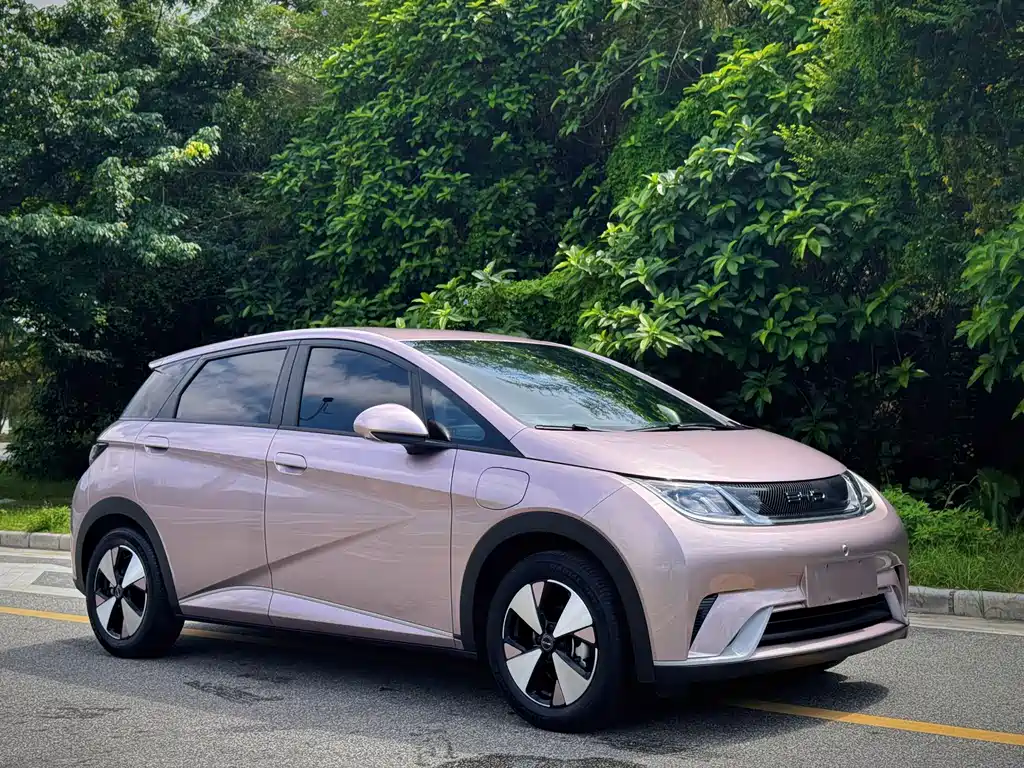 BYD Dolphin 2023