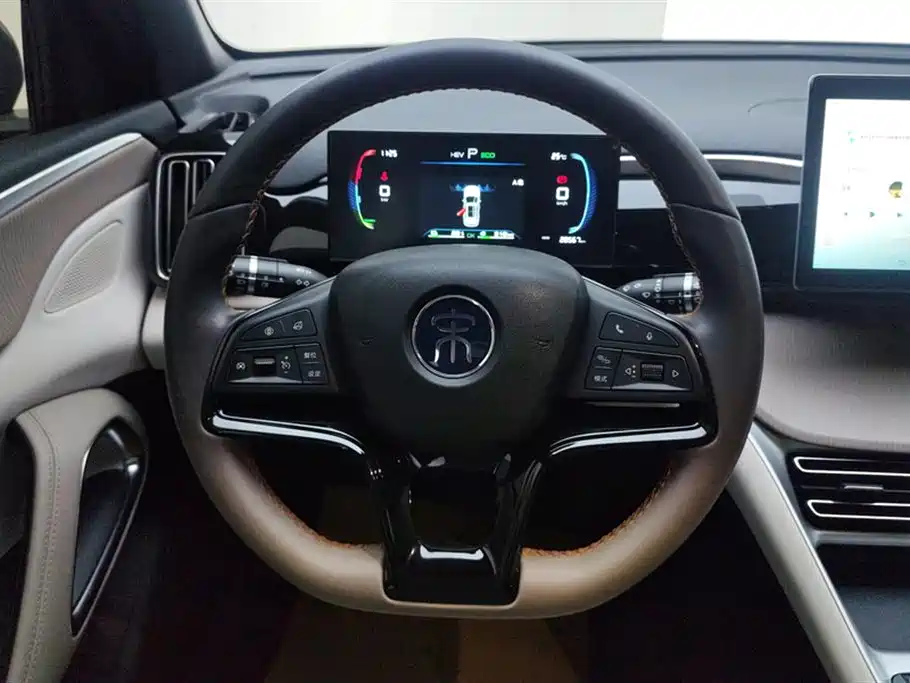 BYD Song Pro New Energy 2024 — фото 15