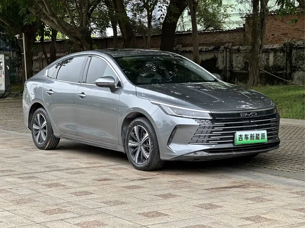 BYD Destroyer 05 2022 — фото 2