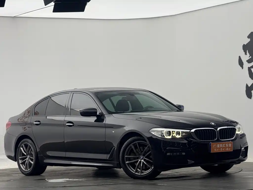 BMW 5 Series 2018 — фото 3