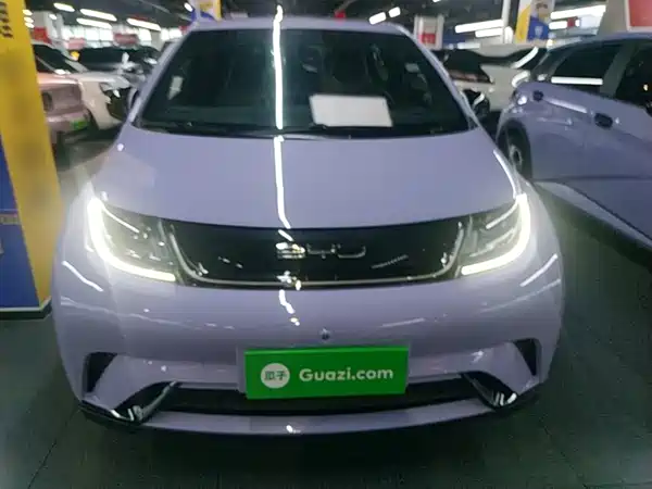 BYD Dolphin 2024