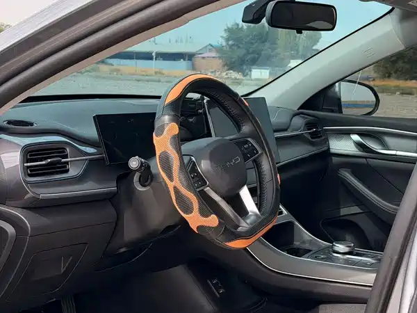BYD Destroyer 05 2024