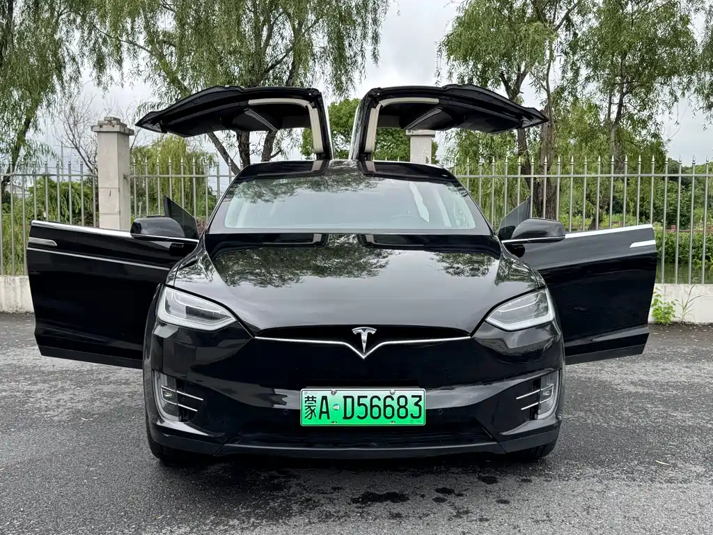 Tesla Model X 2019 — фото 14
