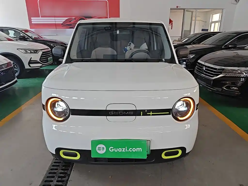 Galaxy Panda 2025