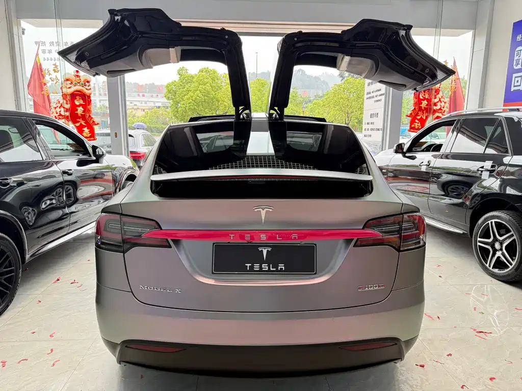 Tesla Model X 2019 — фото 10