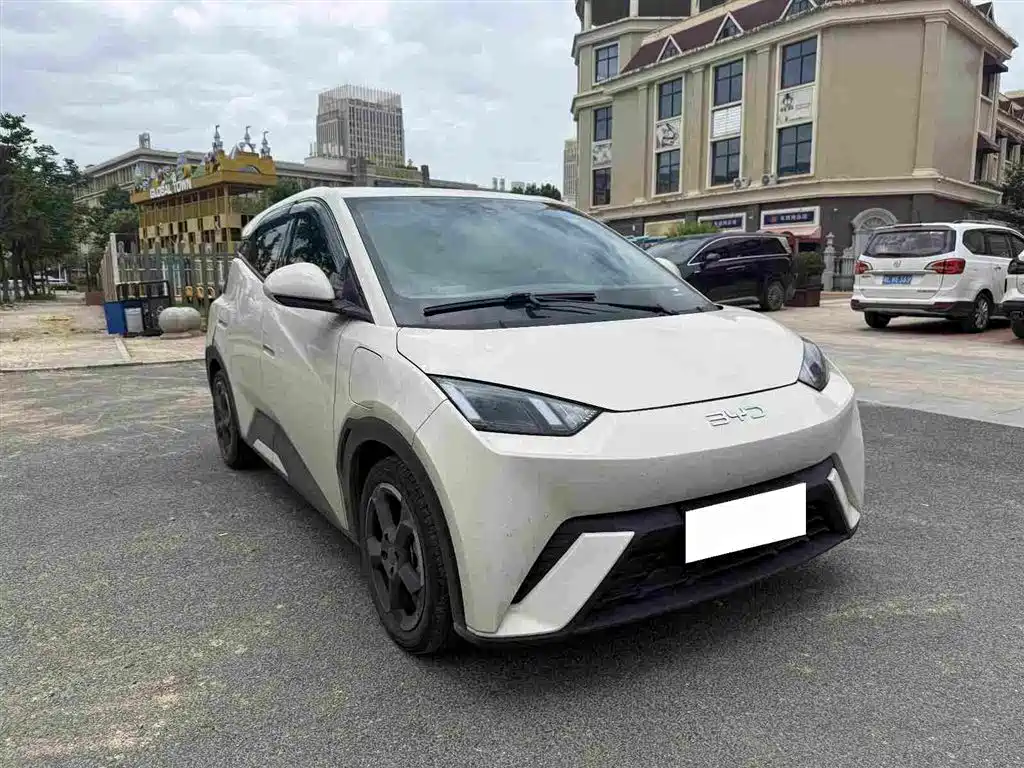 BYD Seagull 2024