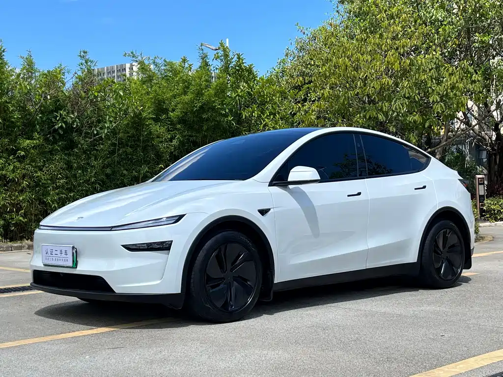 Tesla Model Y 2025 — фото 1