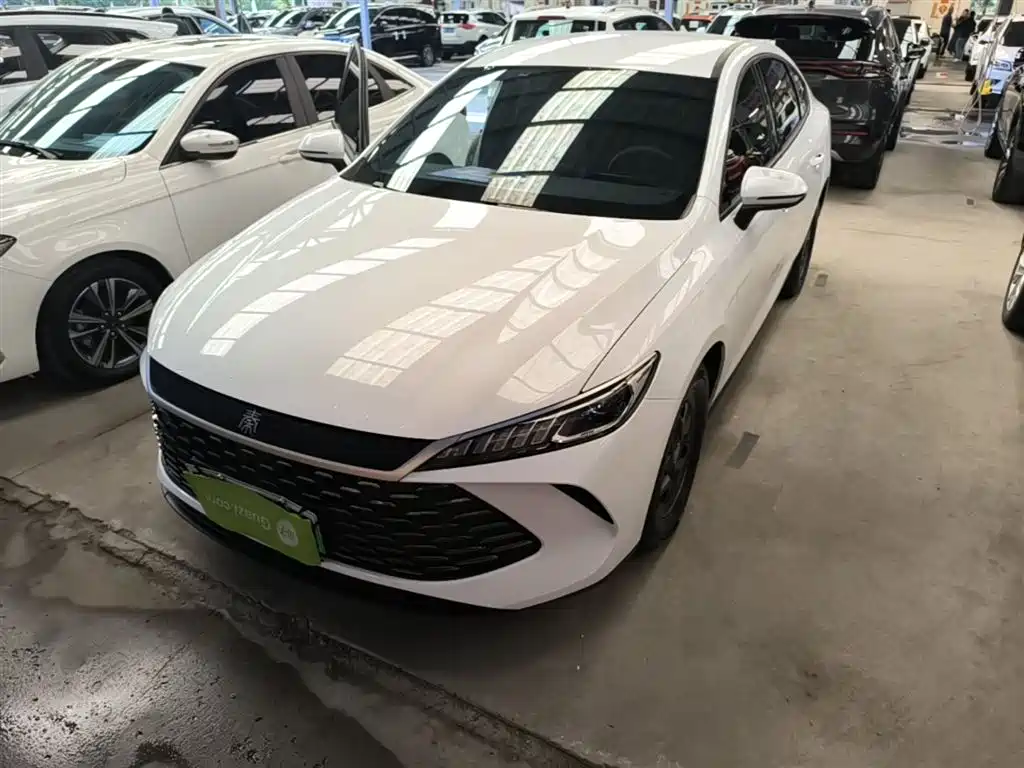 BYD Qin PLUS 2025 — фото 1