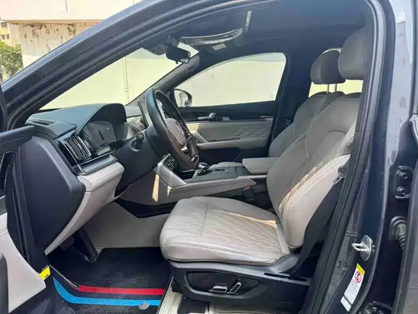 BYD Tang New Energy 2024