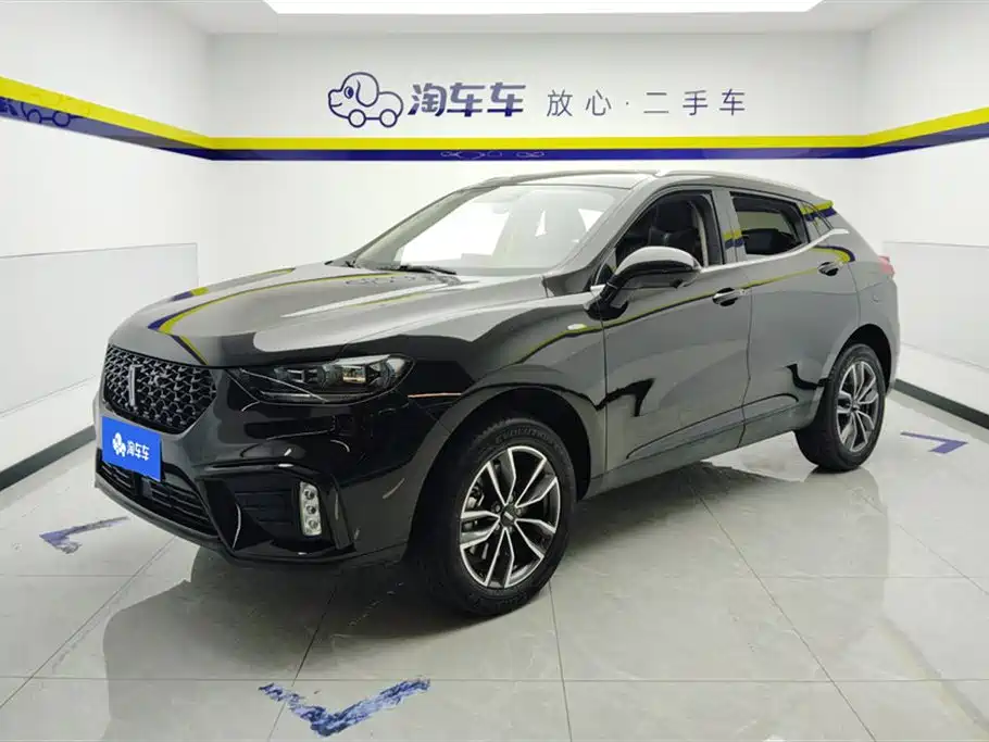 Wey VV5 2020