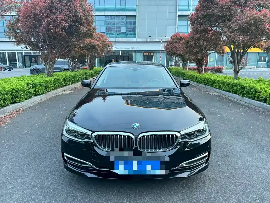 BMW 5 Series New Energy 2019