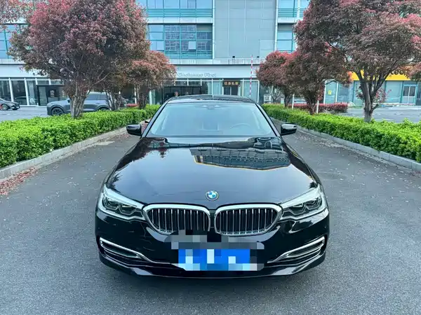 BMW 5 Series New Energy 2019