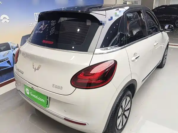 Wuling Bingo 2024