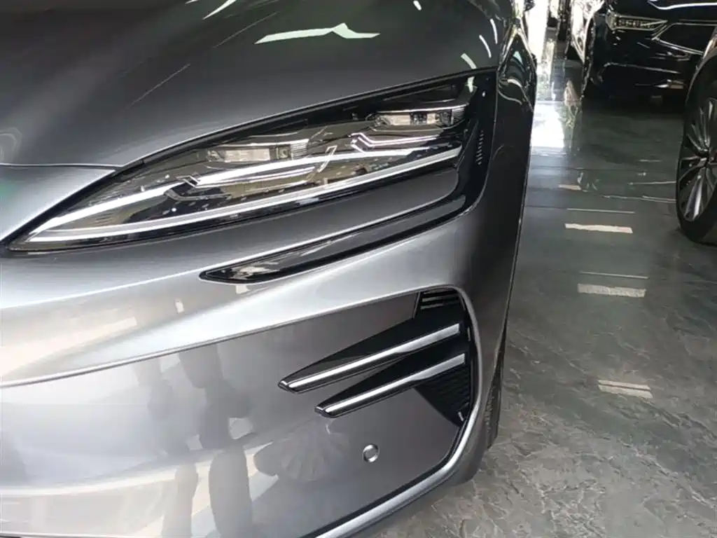 BYD PLUS New Energy 2025 — фото 24