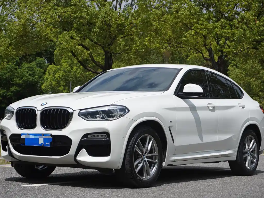 BMW X4 2019 — фото 1