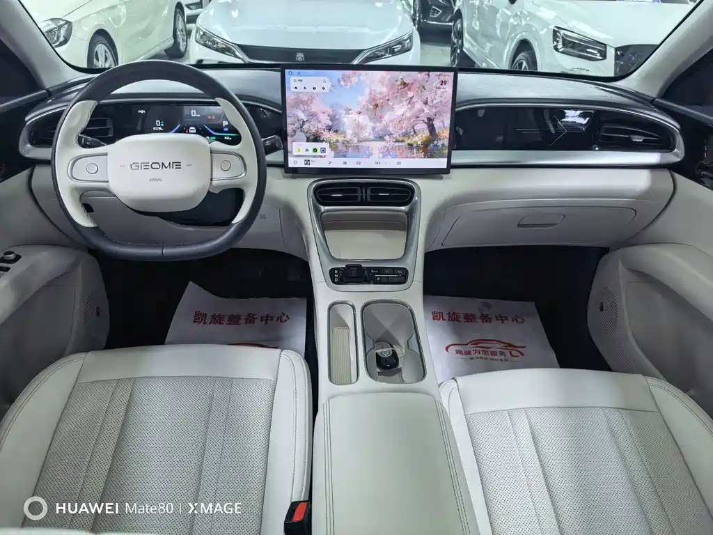 Geely Galaxy Starwish 2024 — фото 9