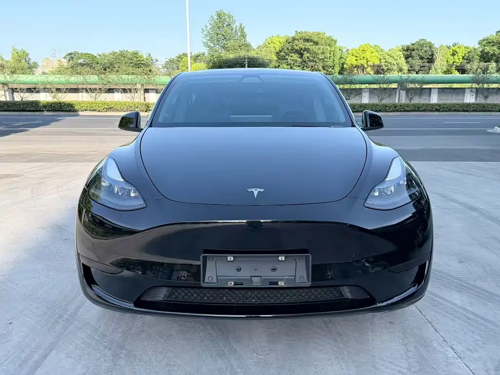 Tesla Model Y 2023 — фото 2