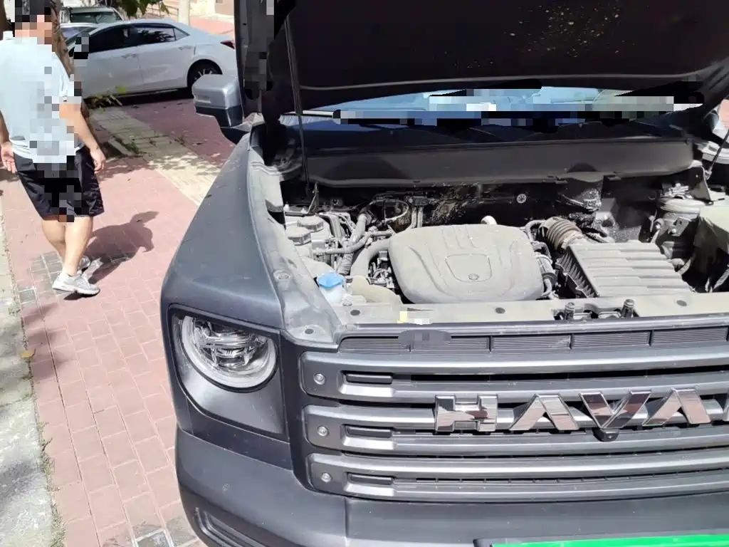Haval Raptors New Energy 2025 — фото 22
