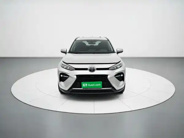 Toyota Wildlander 2020