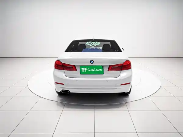 BMW 5 Series New Energy 2020