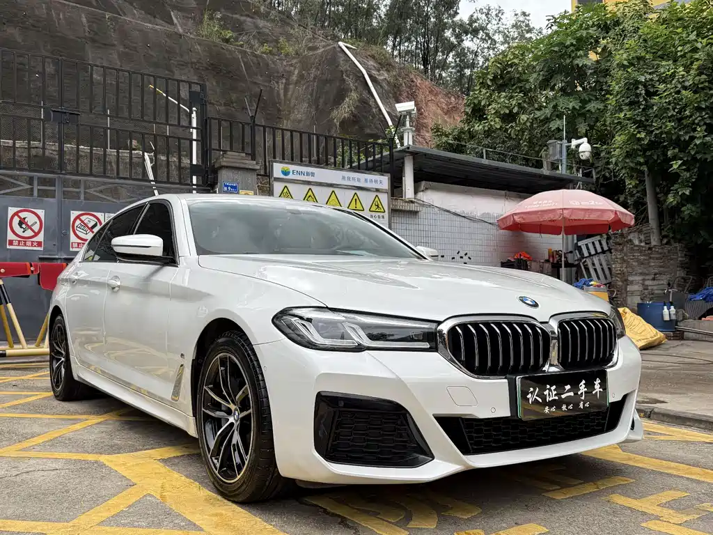 BMW 5 Series New Energy 2021 — фото 3