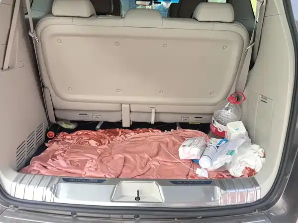 Buick GL8 2021