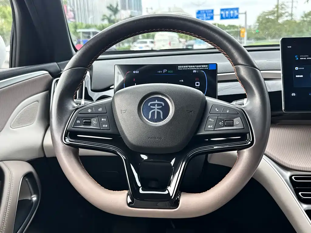 BYD Pro New Energy 2024 — фото 14