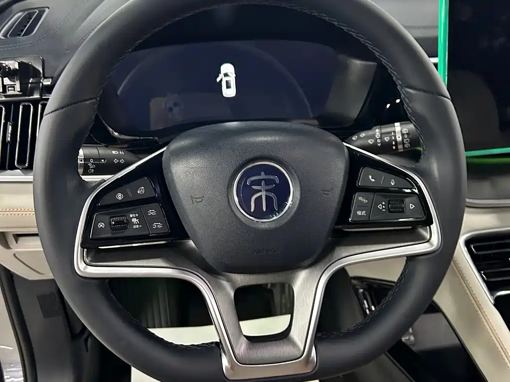 BYD PLUS New Energy 2023 — фото 14