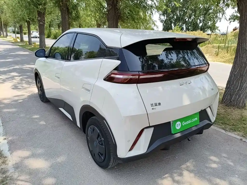 BYD Seagull 2025