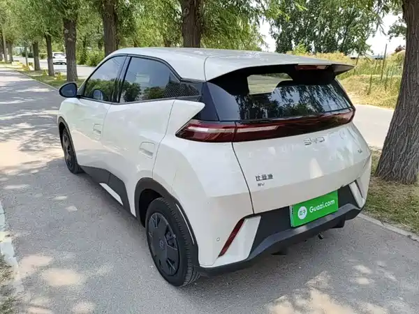 BYD Seagull 2025