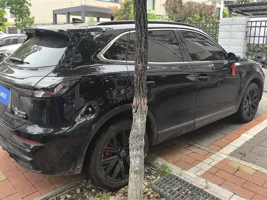 Hongqi HS5 2025