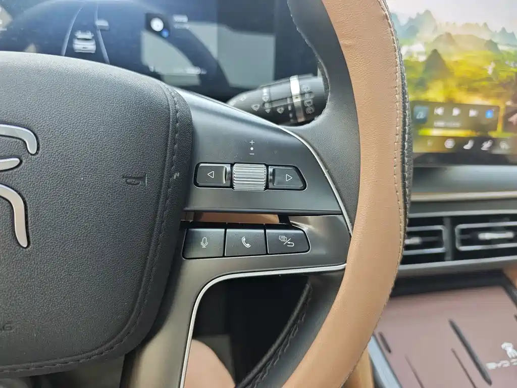 BYD Song L DM-i 2024 — фото 25
