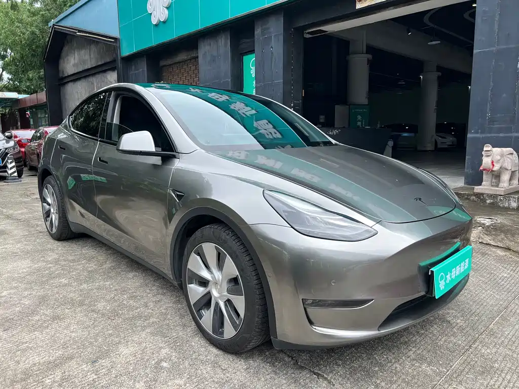 Tesla Model Y 2021 — фото 3