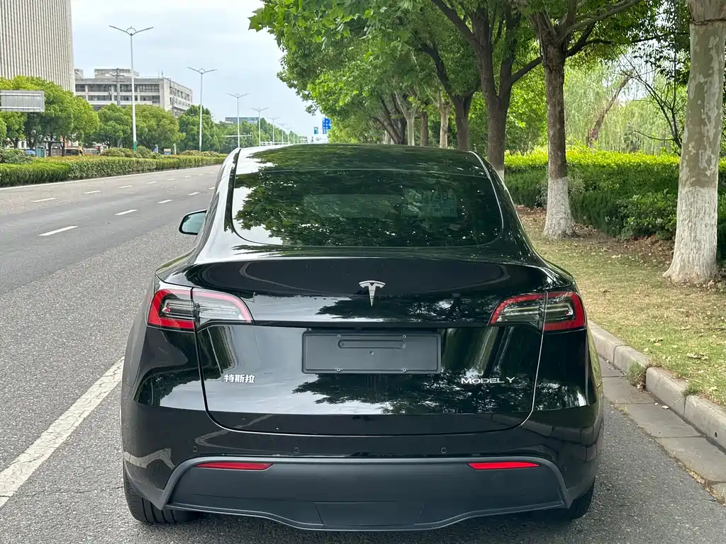 Tesla Model Y 2023 — фото 11