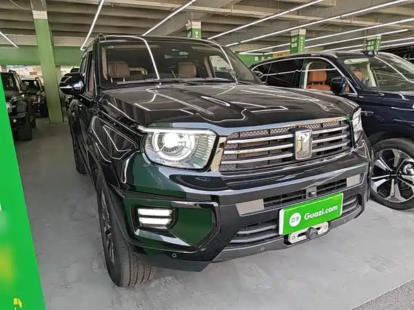 Tank 700 New Energy 2024