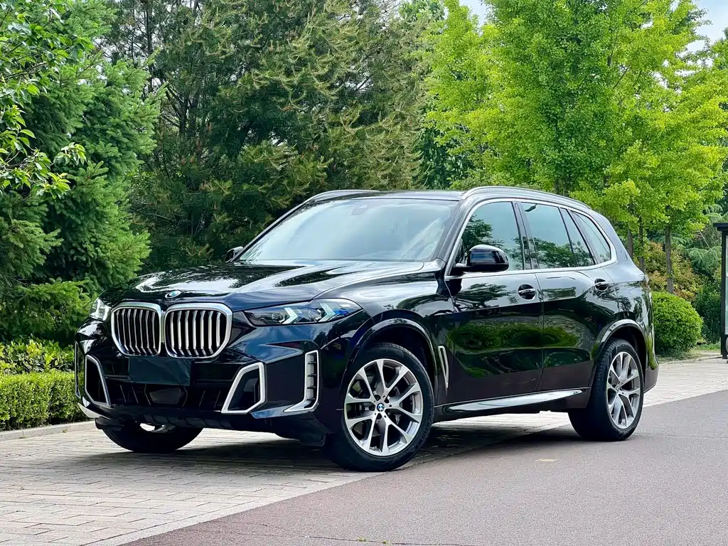 BMW X5 2021 — фото 1