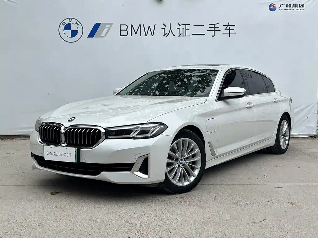 BMW 5 Series New Energy 2021