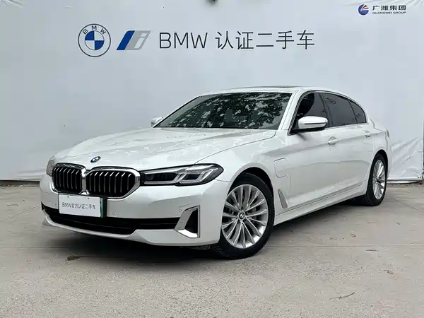 BMW 5 Series New Energy 2021