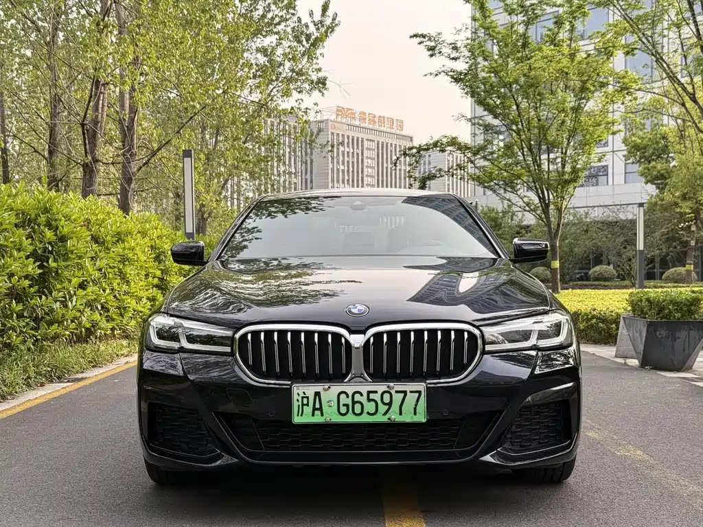 BMW 5 Series New Energy 2021 — фото 3