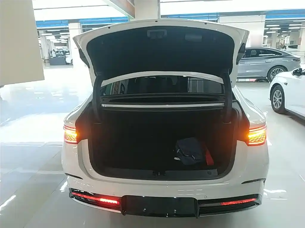 BYD Seal 2024 — фото 19