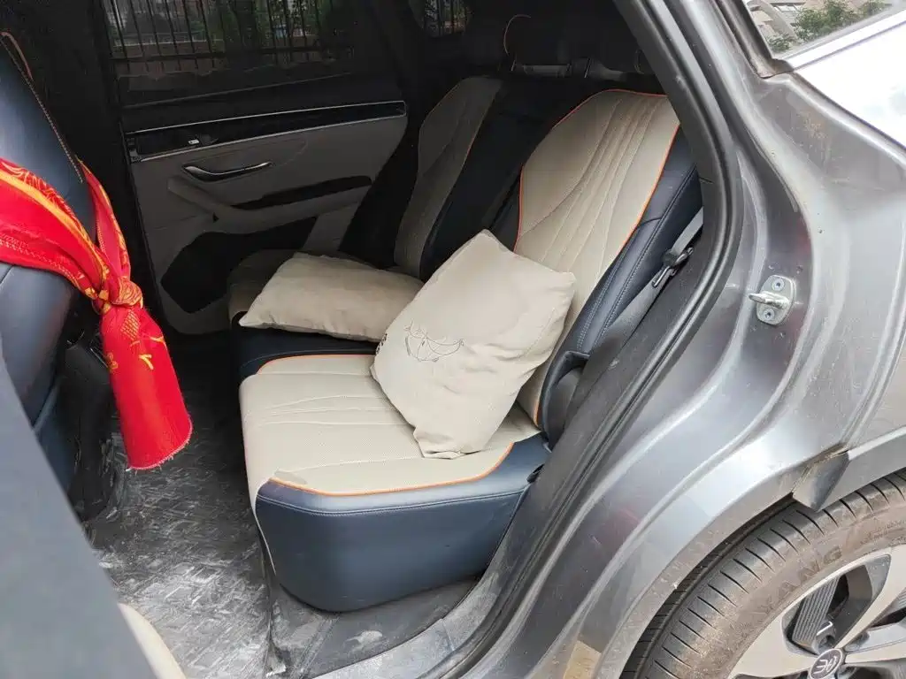 BYD Song PLUS New Energy 2021 — фото 18