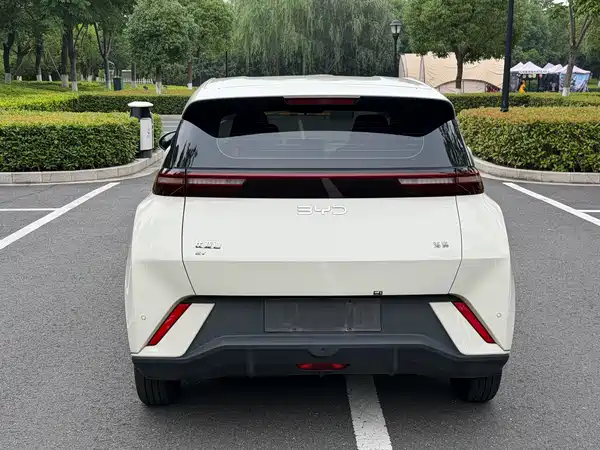BYD Seagull 2024