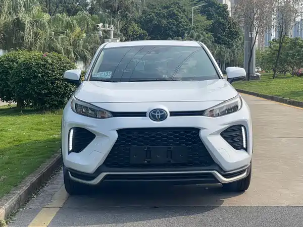 Toyota Weilanda New Energy 2022