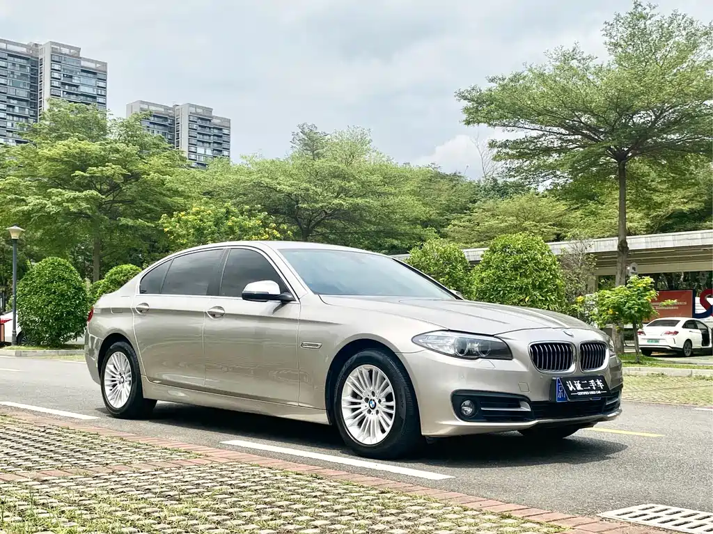 BMW 5 Series 2014