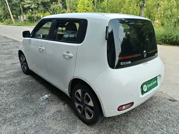 Ora White Cat 2021