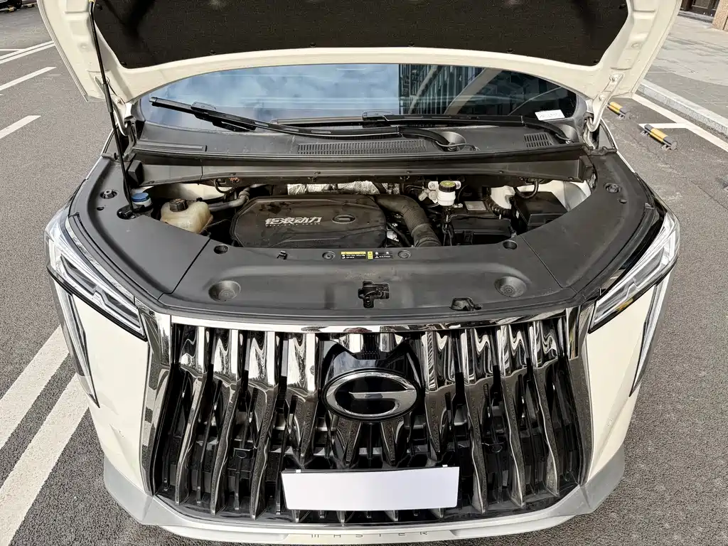 GAC Motor Trumpchi M8 2023 — фото 16