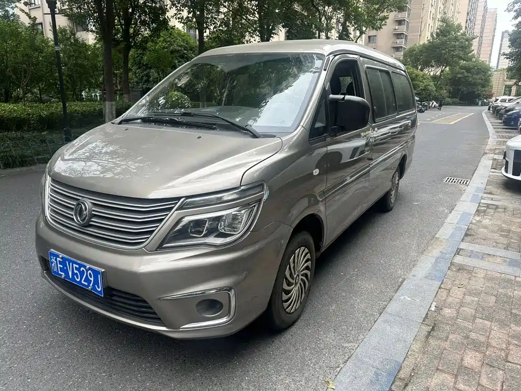 Dongfeng Lingzhi 2019
