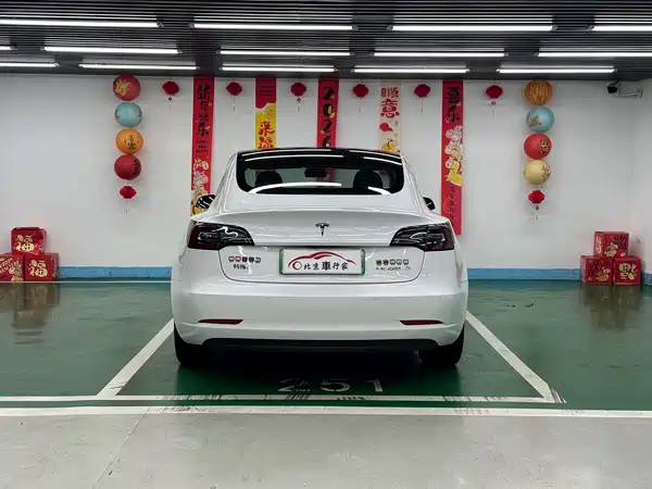 Tesla Model 3 2020