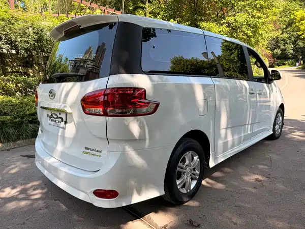 Maxus G10 2019